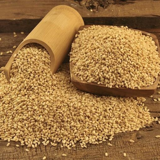 Erzincan Yöresel Ürünler, Erzincan Fındıklı Dövmeç, Erzincan Kayısı Kurusu, Erzincan Dut Kurusu, Erzincan Dermason Fasulye, Erzincan Kuru Fasulye, Kemah Yerli Ceviz, Erzincan Lavş Ekmeği, Erzincan Tandır Ekmeği, Erzincan Tandır Ketesi, Gendime Aşurelik Buğday, Erzincan Değirmen Köy Bulguru, Erzincan Tava Leblebi, Saruç, Kemah Tuzu,Süt Reçeli, Taze Çekilmiş Tahin,Zile Katı Üzüm Pekmezi, Erzincan Üzümü, Erzincan Cimin Üzümü, Cimin Üzümü