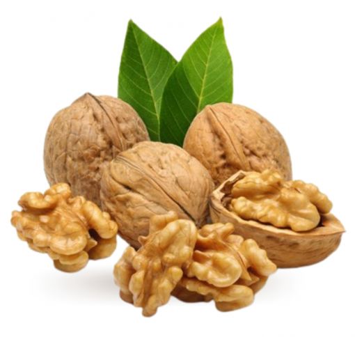 Erzincan Yöresel Ürünler, Erzincan Fındıklı Dövmeç, Erzincan Kayısı Kurusu, Erzincan Dut Kurusu, Erzincan Dermason Fasulye, Erzincan Kuru Fasulye, Kemah Yerli Ceviz, Erzincan Lavş Ekmeği, Erzincan Tandır Ekmeği, Erzincan Tandır Ketesi, Gendime Aşurelik Buğday, Erzincan Değirmen Köy Bulguru, Erzincan Tava Leblebi, Saruç, Kemah Tuzu,Süt Reçeli, Taze Çekilmiş Tahin,Zile Katı Üzüm Pekmezi, Erzincan Üzümü, Erzincan Cimin Üzümü, Cimin Üzümü